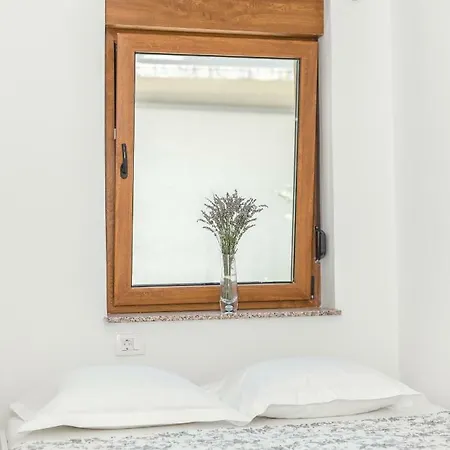 Apartment Iva