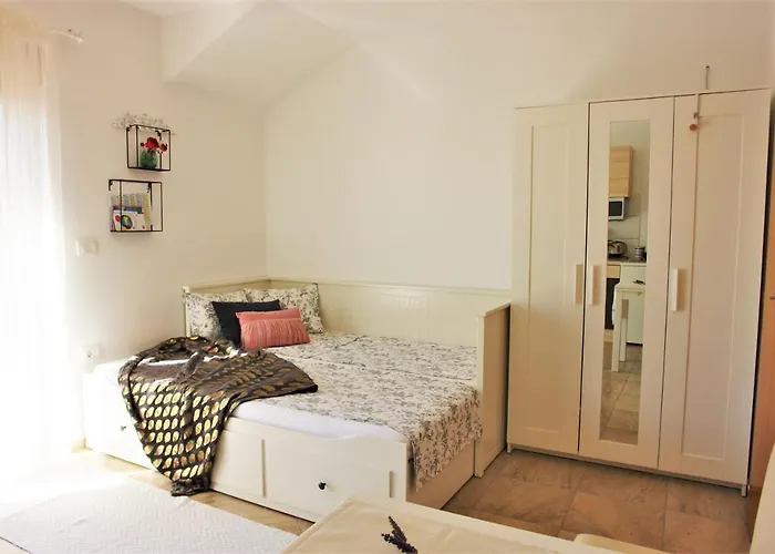 Iva ヴォディツェ