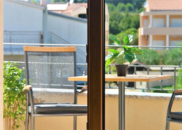 Iva ヴォディツェ